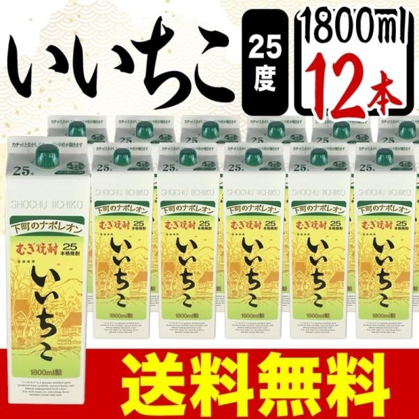 麦焼酎 いいちこ 1.8Ｌ パック 1800ml × 12本 ケース まとめ買い 送料無料 25度