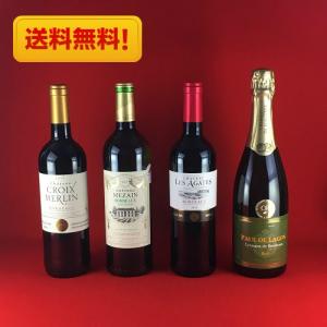 ワインセット 送料無料 赤ワイン 白ワイン スパークリングワイン  飲み比べ ４本セット｜plat-sake