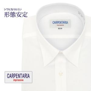 ワイシャツ メンズ 長袖 形態安定 形状記憶 標準型 CARPENTARIA