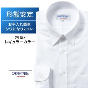 ワイシャツ メンズ 長袖 形態安定 形状記憶 標準型 CARPENTARIA