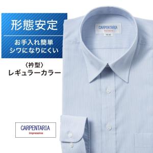 ワイシャツ メンズ 長袖 形態安定 形状記憶 標準型 CARPENTARIA
