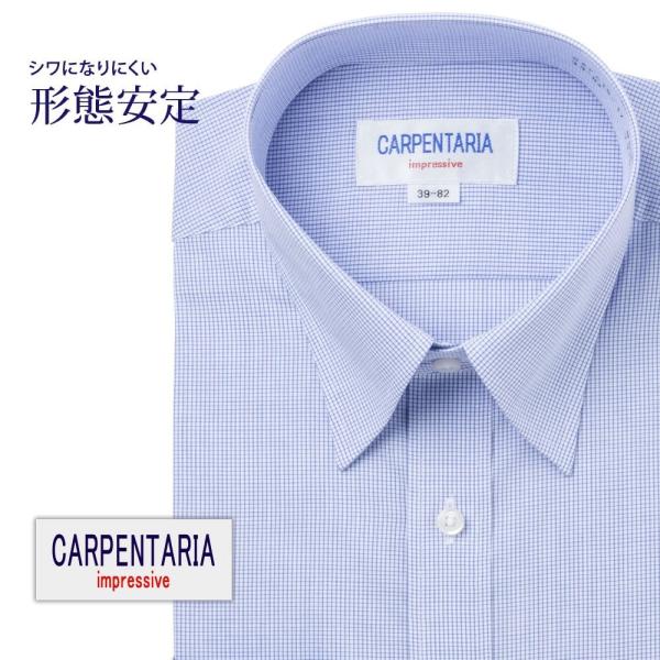 ワイシャツ メンズ 長袖 形態安定 形状記憶 標準型 CARPENTARIA レギュラーカラー DA...