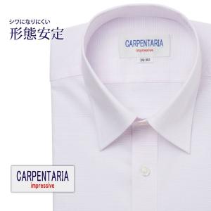 ワイシャツ メンズ 長袖 形態安定 形状記憶 標準型 CARPENTARIA レギュラーカラー DAPC15-18｜plateau-web