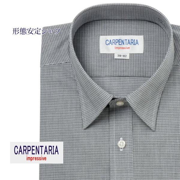 ワイシャツ メンズ 長袖 形態安定 形状記憶 標準型 CARPENTARIA レギュラーカラー DA...