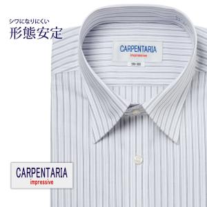 ワイシャツ メンズ 長袖 形態安定 形状記憶 標準型 CARPENTARIA レギュラーカラー DAPC15-31｜plateau-web