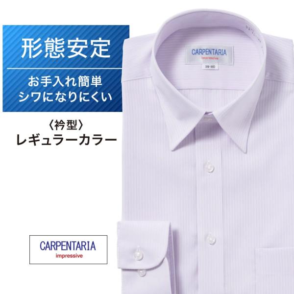 ワイシャツ メンズ 長袖 形態安定 形状記憶 標準型 CARPENTARIA レギュラーカラー DA...