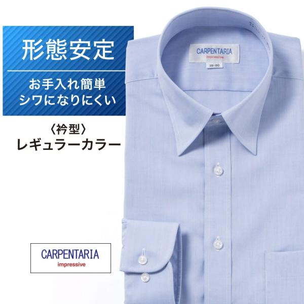 ワイシャツ メンズ 長袖 形態安定 形状記憶 標準型 CARPENTARIA レギュラーカラー DA...