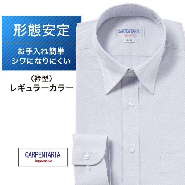 ワイシャツ メンズ 長袖 形態安定 形状記憶 標準型 CARPENTARIA レギュラーカラー DA...
