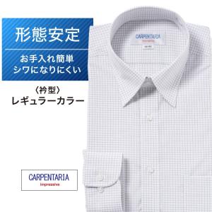 ワイシャツ メンズ 長袖 形態安定 形状記憶 標準型 CARPENTARIA レギュラーカラー DAPC15-43｜ワイシャツのプラトウ Yahoo!店