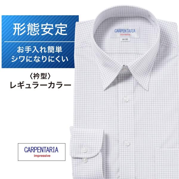 ワイシャツ メンズ 長袖 形態安定 形状記憶 標準型 CARPENTARIA レギュラーカラー DA...