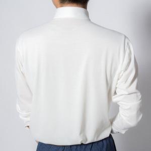 メール便送料無料 ノーアイロン ニットシャツ ...の詳細画像2