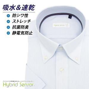 ワイシャツ メンズ 半袖 形態安定 形状記憶 標準型 HybridSensor ボタンダウン P16HBB076｜plateau-web