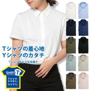 Tシャツの着心地 ワイシャツのカタチ レディース ニットシャツ ストレッチ テレワーク クールビズ 軽い着心地 Tシャツ感覚で着られる SHIRT-T P33S1SI01｜plateau-web
