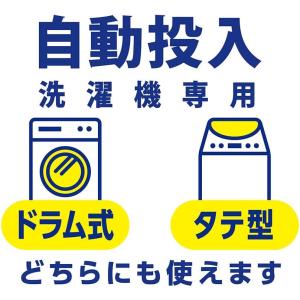【ケース販売 850g×12袋】トップ ナノッ...の詳細画像3