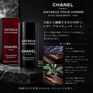 【並行輸入品】【送料無料】CHANEL シャネ...の詳細画像1
