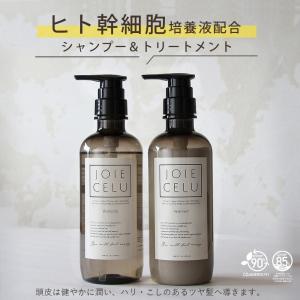 シャンプー トリートメント ボトルセット シャ...の詳細画像1