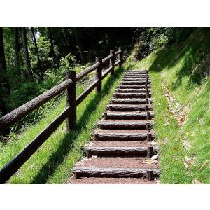 リサイクルプラスチック擬木　プラウッド二連木階段Ｌ１０００　φ１００×２×Ｌ１０００