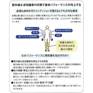 【2個セット】Aggressive Desig...の詳細画像2