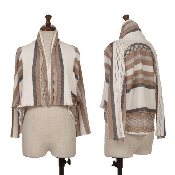 イッセイミヤケISSEY MIYAKE A-POC INSIDE メッシュカッティングボーダードルマ...