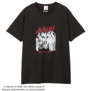 The Rolling Stones / ローリング・ストーンズ Tシャツ スミクロ