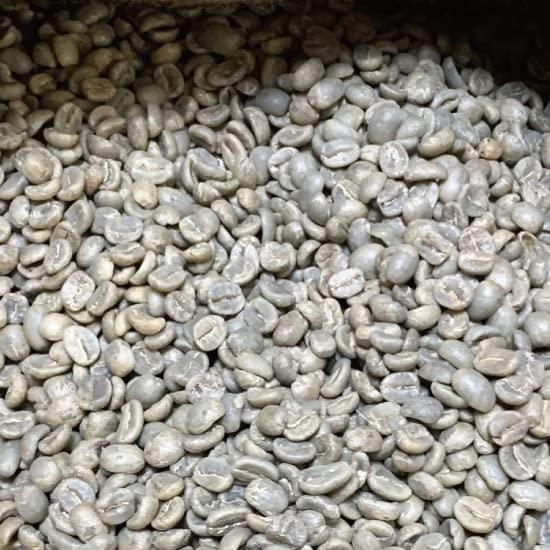 松屋珈琲 コーヒー生豆 グアテマラ ＳＨＢ (1kg袋)