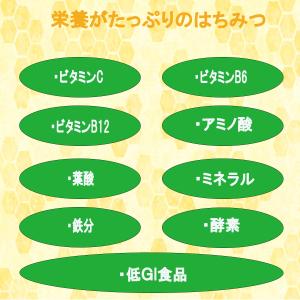 菩提樹 はちみつ 日本のはちみつ 130g 国...の詳細画像4