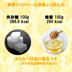 菩提樹 はちみつ 日本のはちみつ 130g 国...の詳細画像5