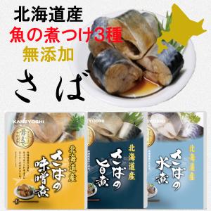 1000円ポッキリ 送料無料 北海道産 無添加 魚の煮付け さば 3種 3個 セット 兼由...
