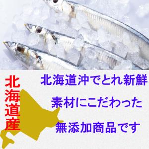 1000円ポッキリ 送料無料 北海道産 無添加...の詳細画像2