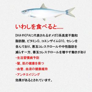 1000円ポッキリ 送料無料 北海道産 無添加...の詳細画像5