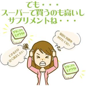 【 簡単栽培キット付き 】ブロッコリースプラウ...の詳細画像4