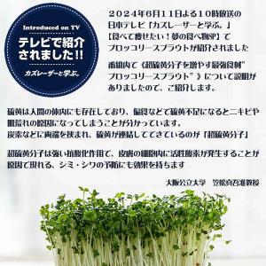 ブロッコリースプラウト 種子 500ml (種...の詳細画像1