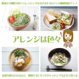ブロッコリースプラウト 種子 500ml (種...の詳細画像4
