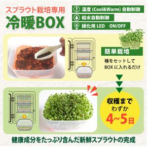 スプラウト栽培専用 【冷暖BOX】 1年中 温...の詳細画像2