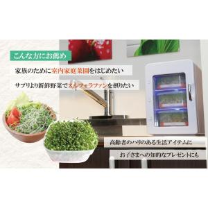 スプラウト栽培専用 【冷暖BOX】 1年中 温...の詳細画像4