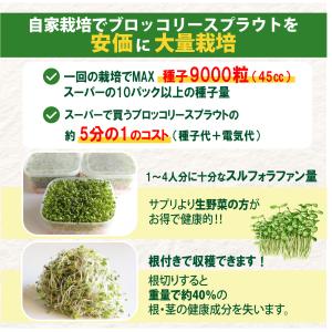 スプラウト栽培専用 【冷暖BOX】 1年中 温...の詳細画像5