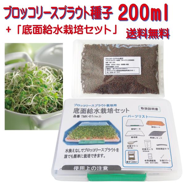 ブロッコリースプラウト種子200ml（底面給水栽培セット付き）手軽に無洗浄で大量栽培できます