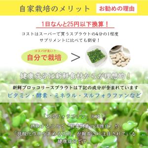 ブロッコリースプラウト種子200ml(底面給水...の詳細画像2