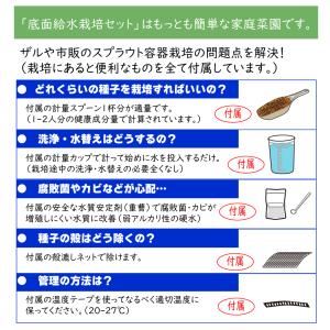 ブロッコリースプラウト種子200ml(底面給水...の詳細画像3