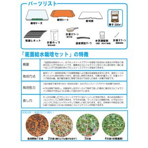 ブロッコリースプラウト種子200ml(底面給水...の詳細画像4