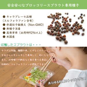 ブロッコリースプラウト種子200ml(底面給水...の詳細画像5