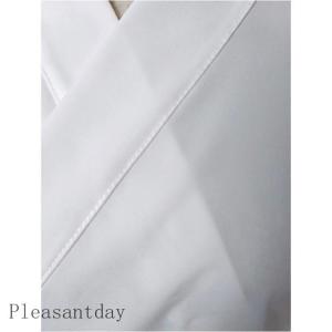 夏用 Tシャツ半襦袢 絽 半衿 半襦袢 白 衿...の詳細画像3