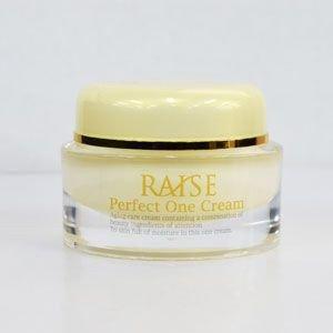 RAISE (レイズ) Perfect One Cream パーフェクトワンクリーム 活性型FGF 活性型EGF 馬プラセンタ コラーゲン オールイン｜pleasantplace