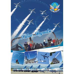 クリアファイル 航空自衛隊 ブルーインパルス 3画像 富士山 A4サイズ