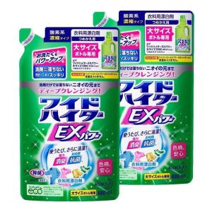 まとめ買いワイドハイターEXパワー 大 詰替え用880ml×2個｜plenty