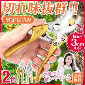 剪定ばさみ バネ 女性用 ネジ はさみ 園芸 ガーデニング 庭 木 強力 家庭菜園 3cm