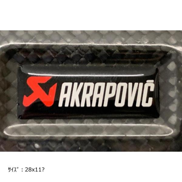 AKRAPOVIC (アクラポビッチ) ポリステッカー カーボンヒートガード用 サイズ:28x11m...