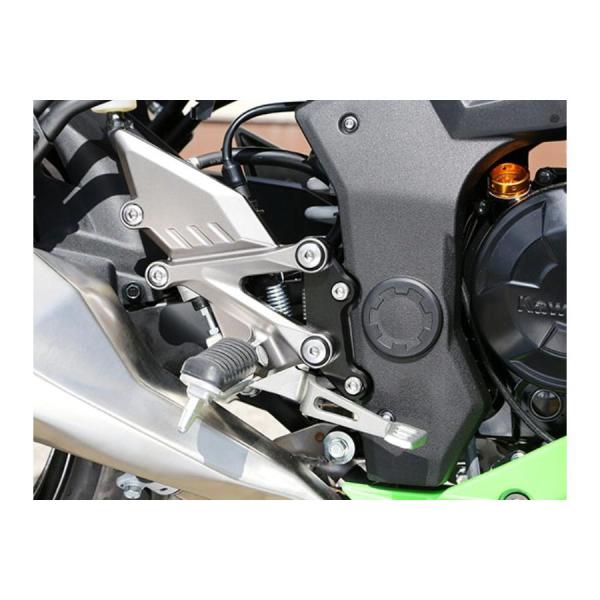 BABYFACE (ベビーフェイス) セットバックプレート ブラック Ninja250SL 002-...