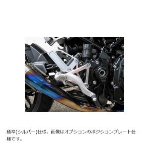 BEET (ビート) ハイパーバンク 固定式 SLV Z900RS 18-21 0111-KE3-20｜plot-store2