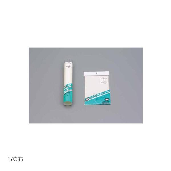 Daytona (デイトナ) ハイプロテクションシール S  14181